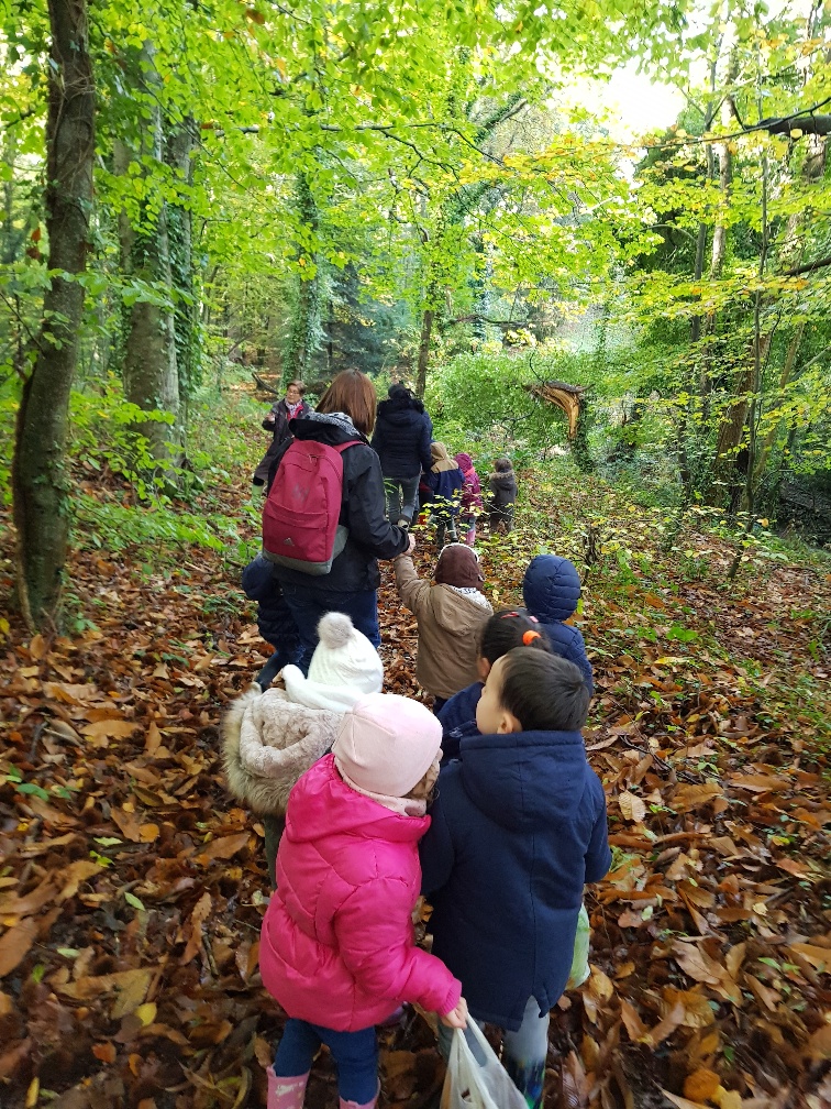 La sortie dans les bois