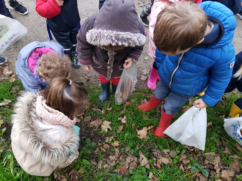 Promenons nous dans les bois…