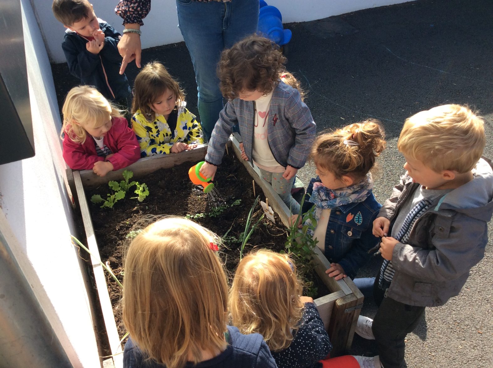 Potager des TPS / PS