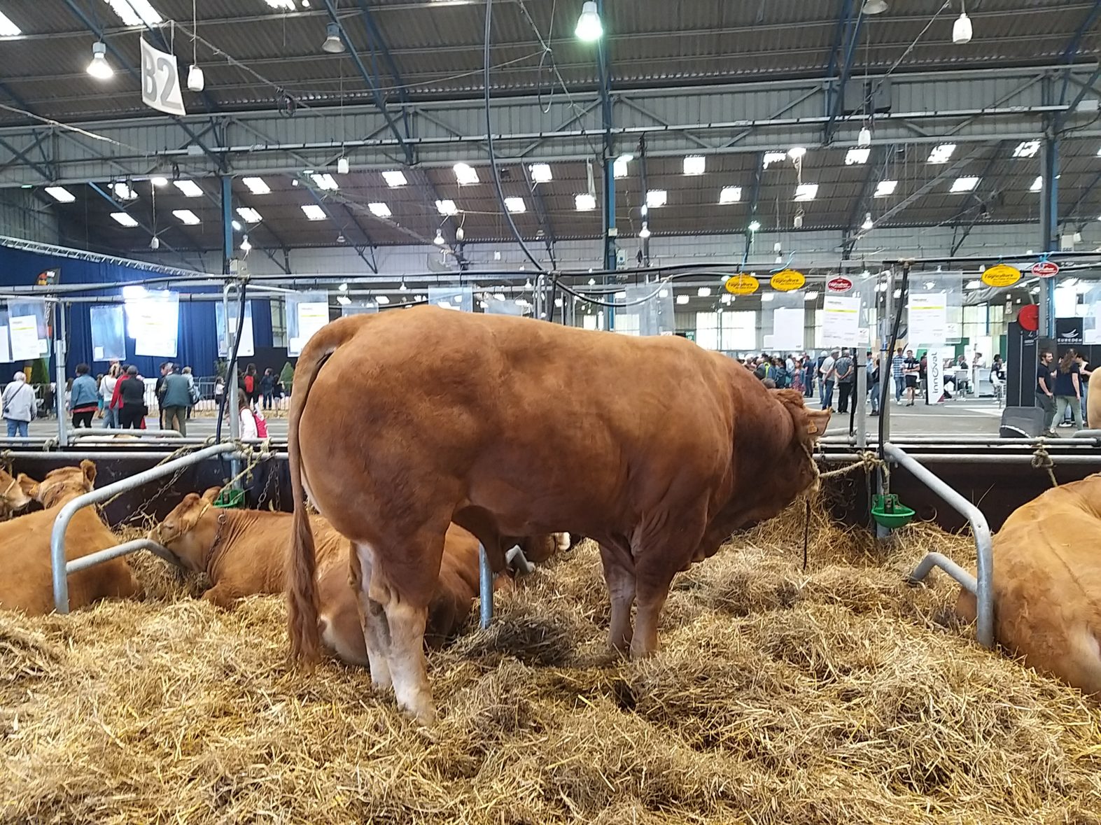 Visite du salon de l’agriculture TPS / PS 🐄🐑