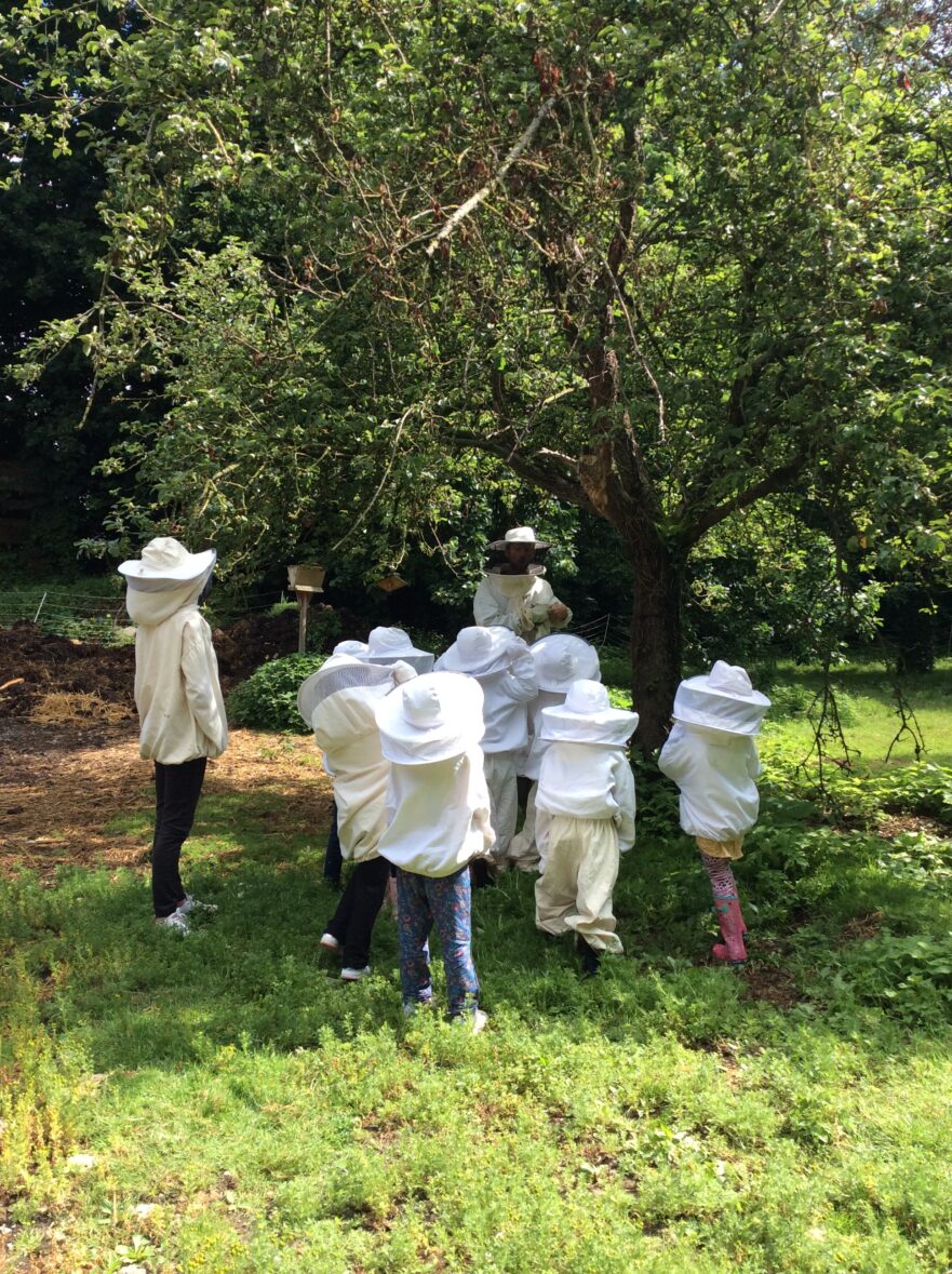 Les abeilles à la ferme !