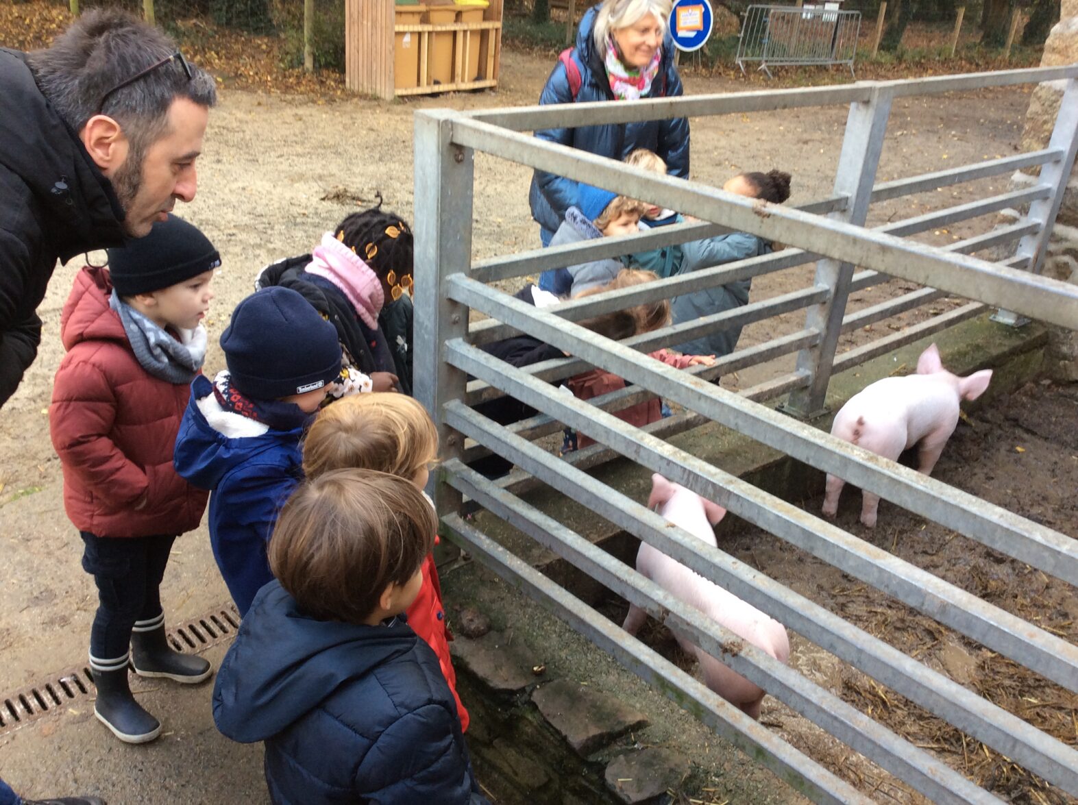 Sortie à la ferme pour les PS/MS.